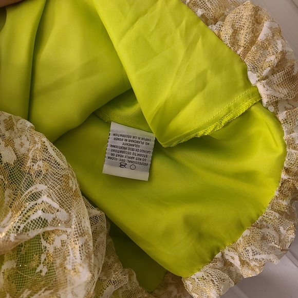 Light Green and Gold Lace Short Formal, Homecoming Fairy Dress - Picture 6 of 9